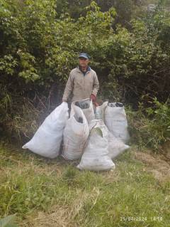 RECOGIENDO EMPAQUE PLANTAS
